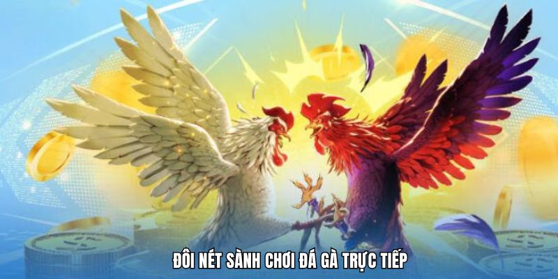 Sơ lược về đá gà trực tiếp