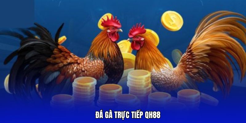 đá gà trực tiếp