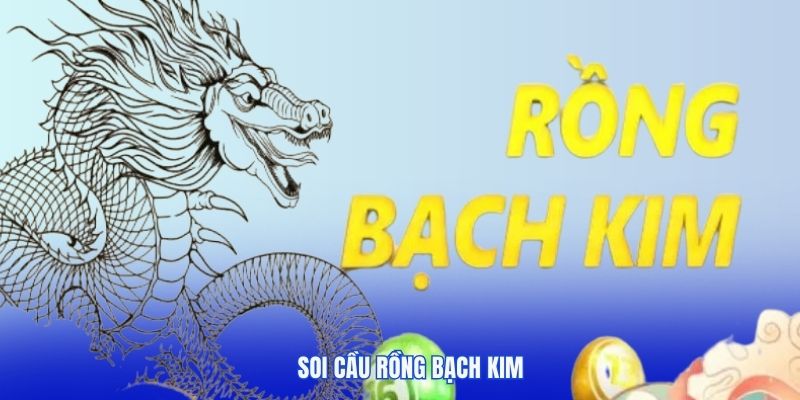 soi cầu Rồng Bạch Kim