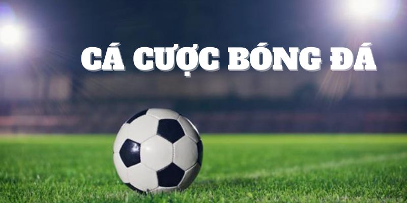 cá cược bóng đá
