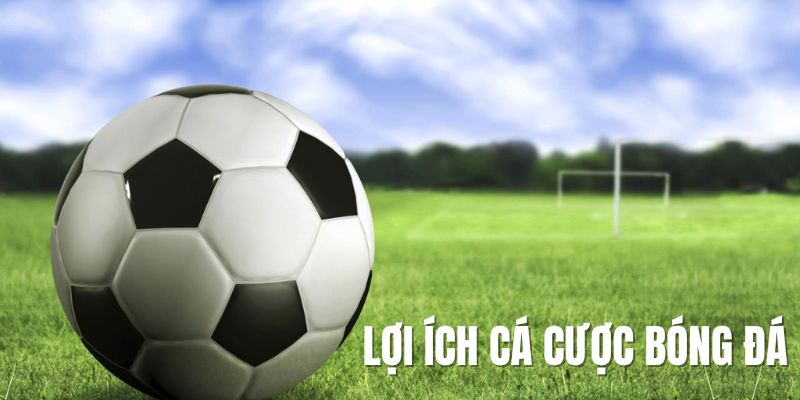 Ưu điểm của cá cược bóng đá